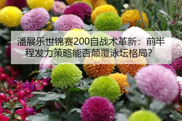 潘展乐世锦赛200自战术革新：前半程发力策略能否颠覆泳坛格局？