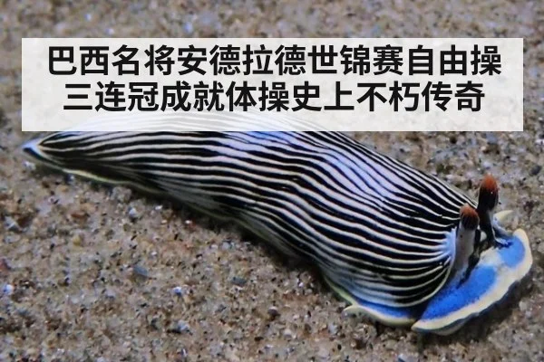 巴西名将安德拉德世锦赛自由操三连冠成就体操史上不朽传奇